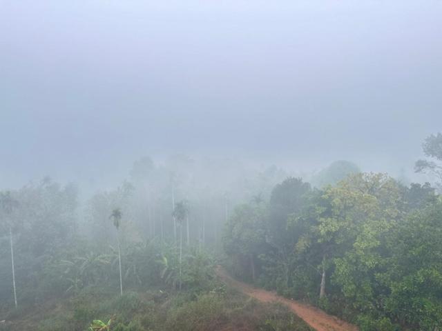 Wayanad Vista Service Apartment Zewnętrze zdjęcie